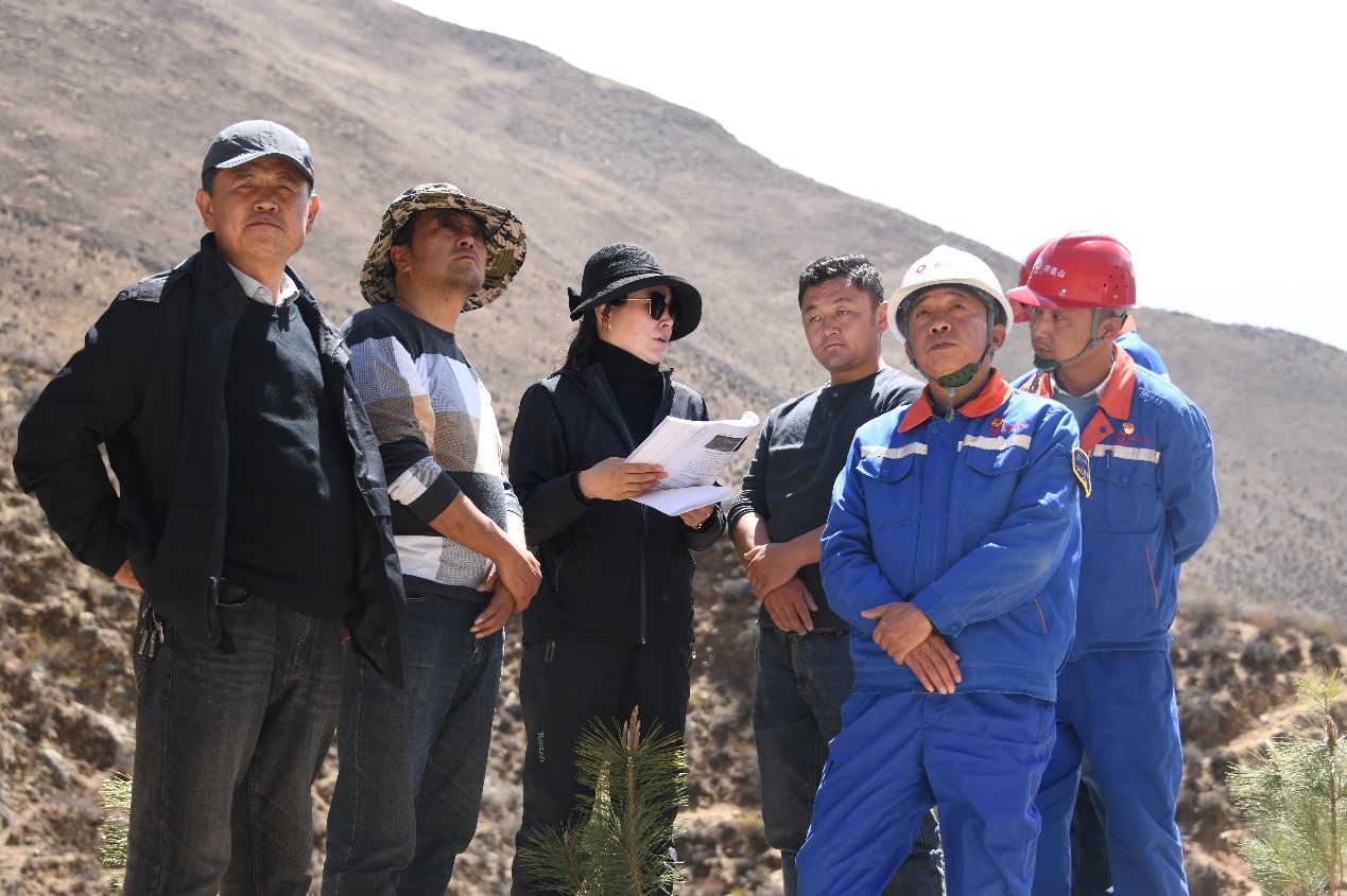 1650601978583655.jpg 4.jpg