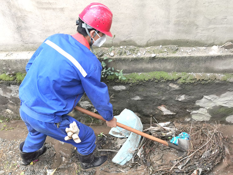 1651212783565601.jpg 3.jpg