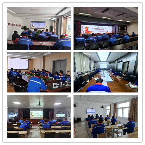 1733987893526864.png 图片1_副本_副本.png