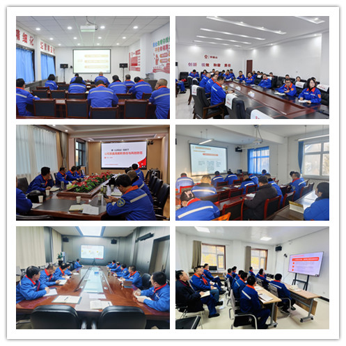 1735638464259349.jpg 11.jpg