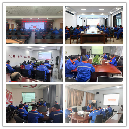 1735638474997457.jpg 22.jpg