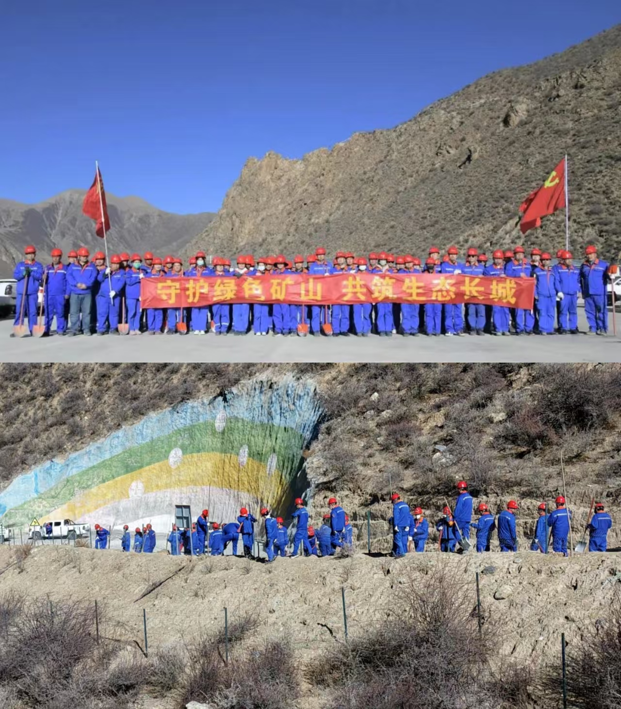 1742268664257671.png 西藏植树.png