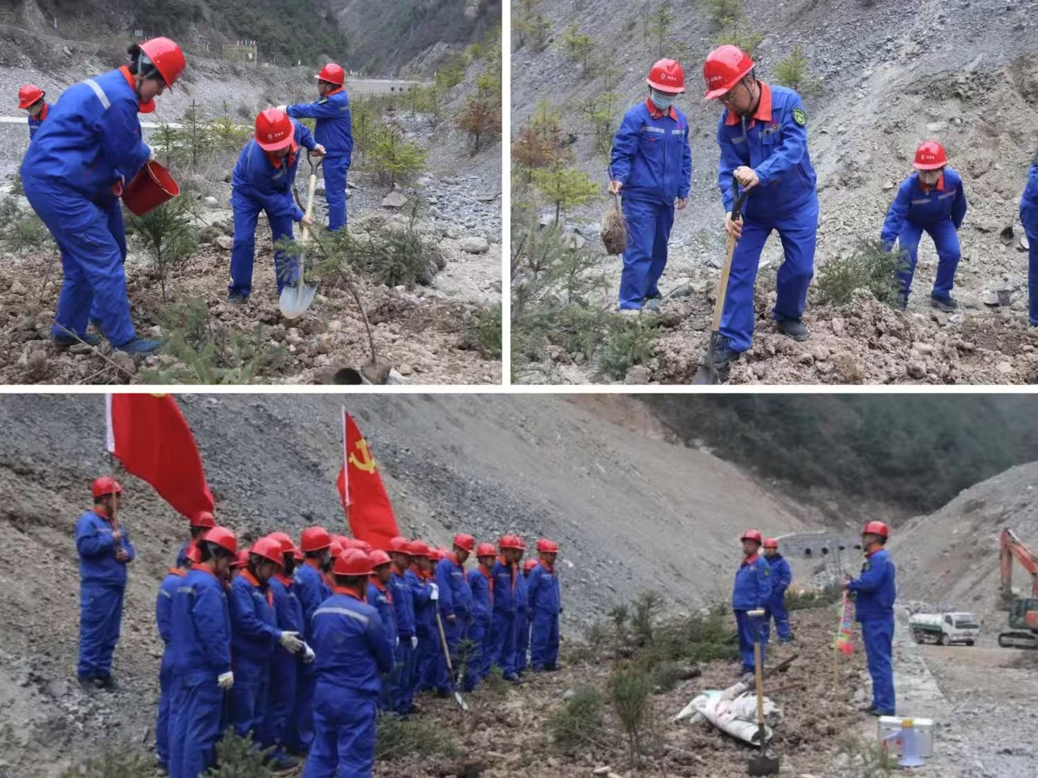 微信图片_20250319165503_201.jpg