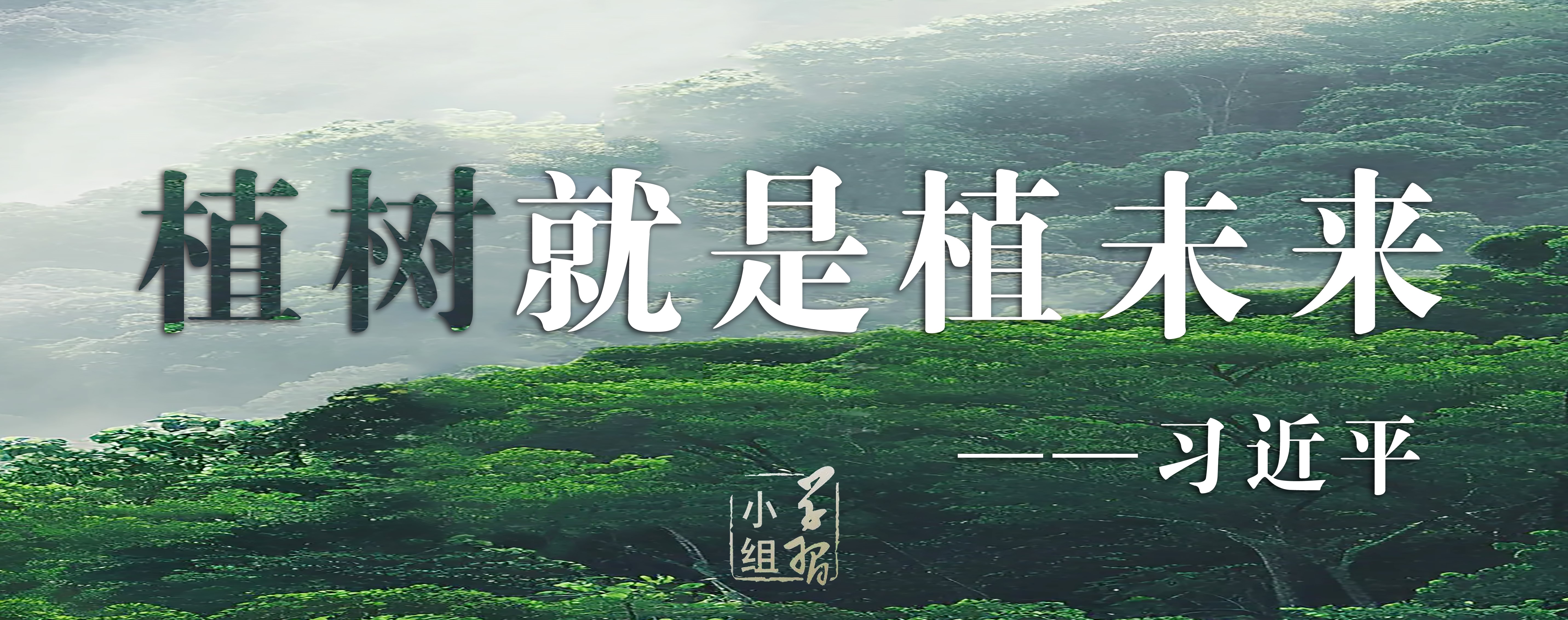 1742375484195033.jpg 植树 .jpg